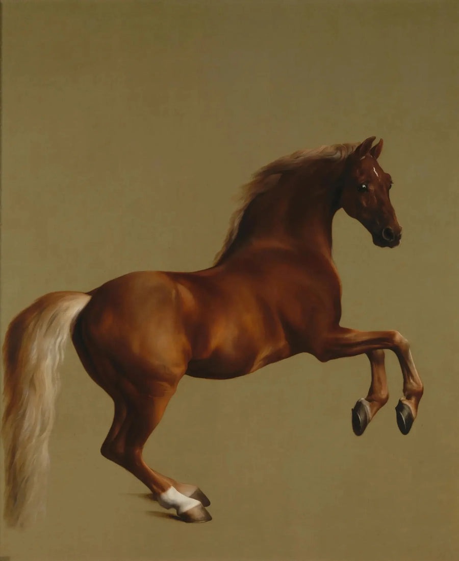 휘파람 재킷 - 조지 스터브스

Source:
Veste sifflante - George Stubbs