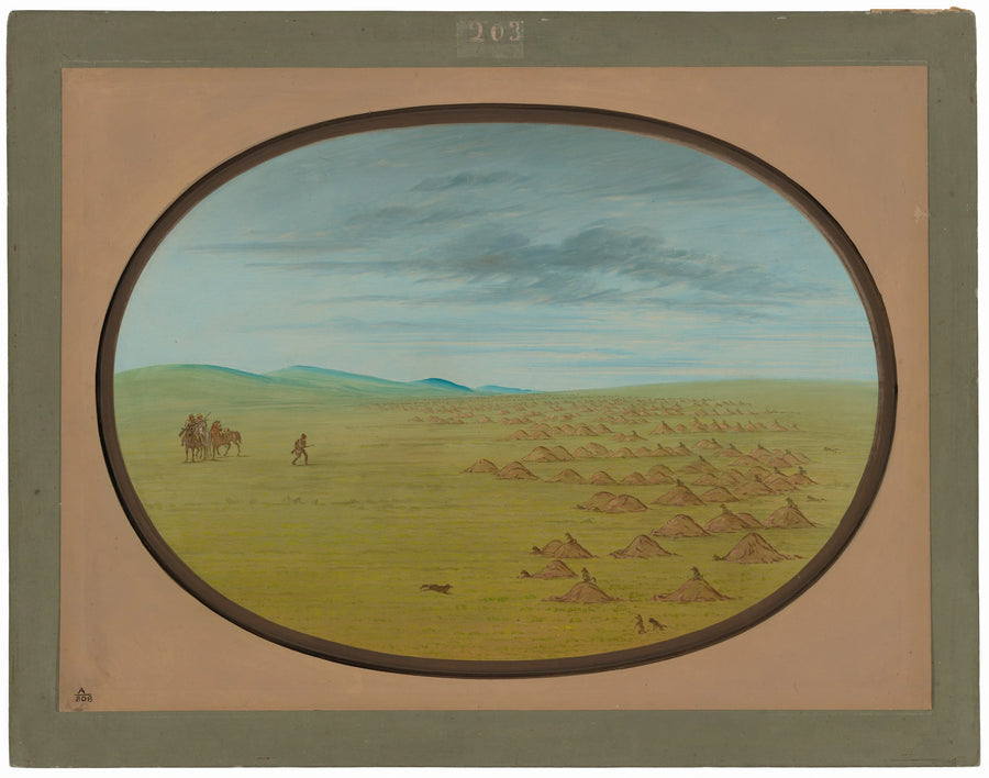 Village des chiens de prairie - George Catlin