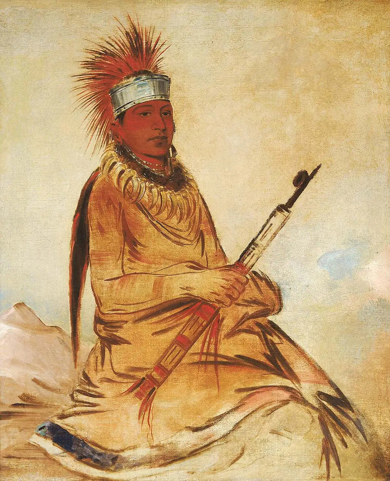 윌리-이, 상식이 있는 사람, 용감한 사람 - 조지 캐틀린

Source:
W'y-ee-yogh, homme de bon sens, un brave - George Catlin