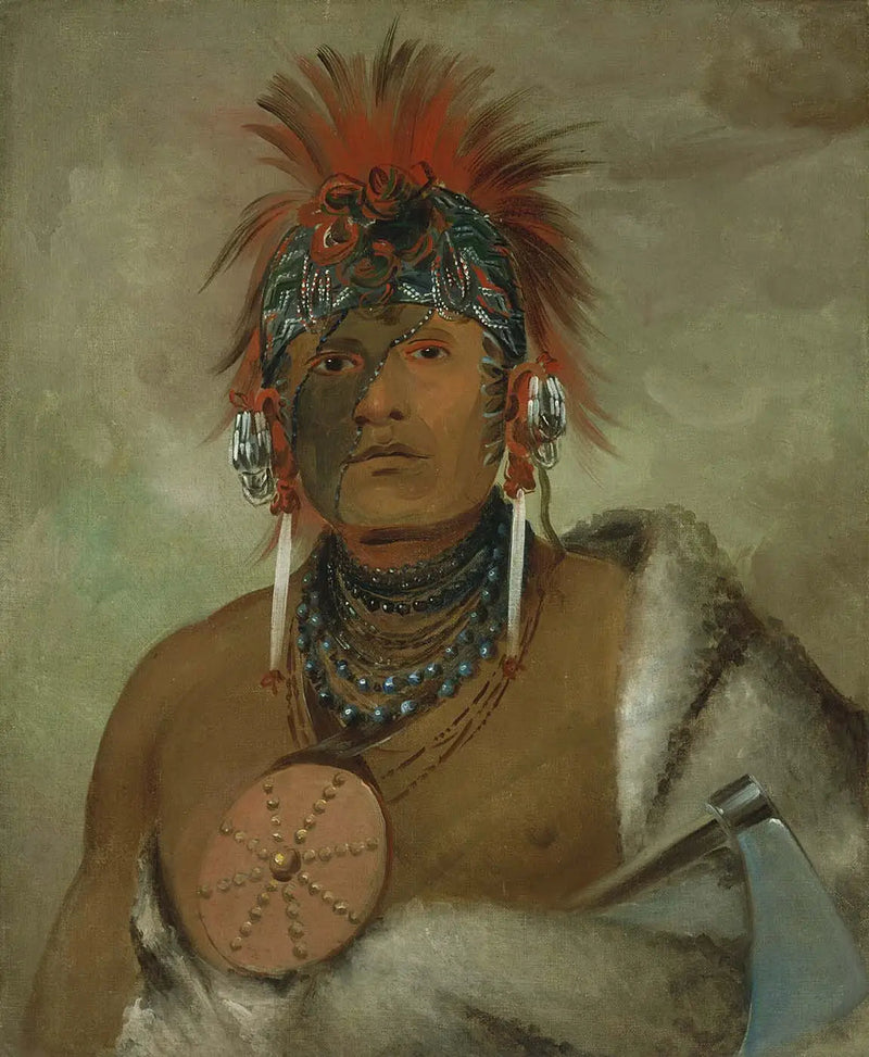 와-혼-가-시, 노 풀, 큰 바보 - 조지 캐틀린

Source:
Wá-hón-ga-shee, No Fool, un grand idiot - George Catlin