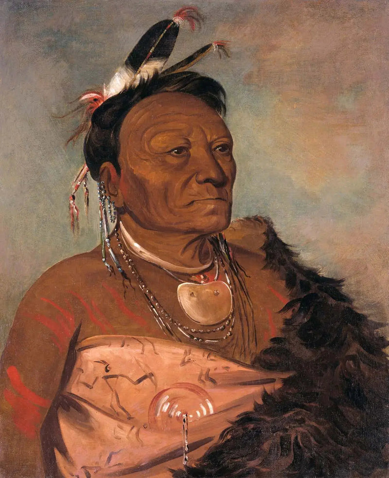 위타라샤로, 부족의 추장 - 조지 캐틀린

Source:
Wee-tá-ra-shá-ro, chef de la tribu - George Catlin