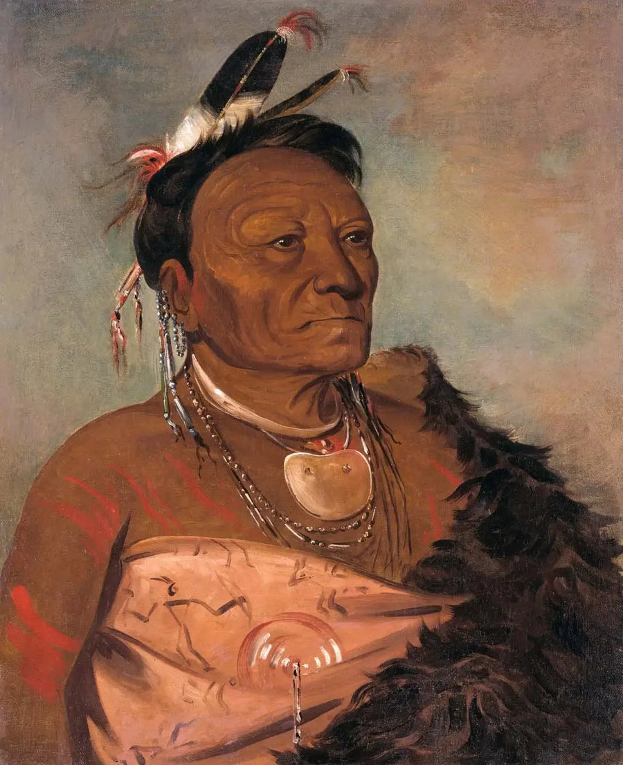 위타라샤로, 부족의 추장 - 조지 캐틀린

Source:
Wee-tá-ra-shá-ro, chef de la tribu - George Catlin