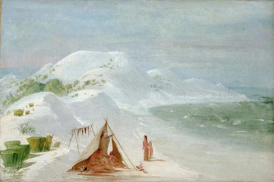 화이트 샌드 블러프스, 산타로사 섬, 펜사콜라 근처 - 조지 캐틀린

Source:
White Sand Bluffs, sur l'île de Santa Rosa, près de Pensacola - George Catlin