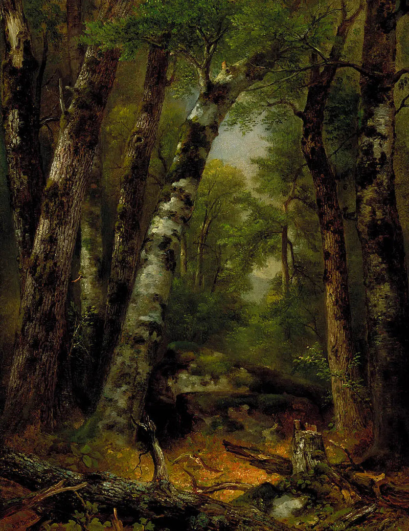 우드랜드 글렌 - 애셔 브라운 듀란드

Source:
Woodland Glen - Asher Brown Durand
