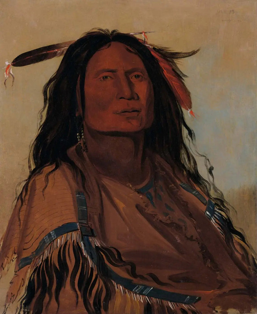 우크미서르, 옥수수, 미니콘주 전사 - 조지 캐틀린

Source:
Wúk-mi-ser, Corn, un guerrier Miniconjou - George Catlin