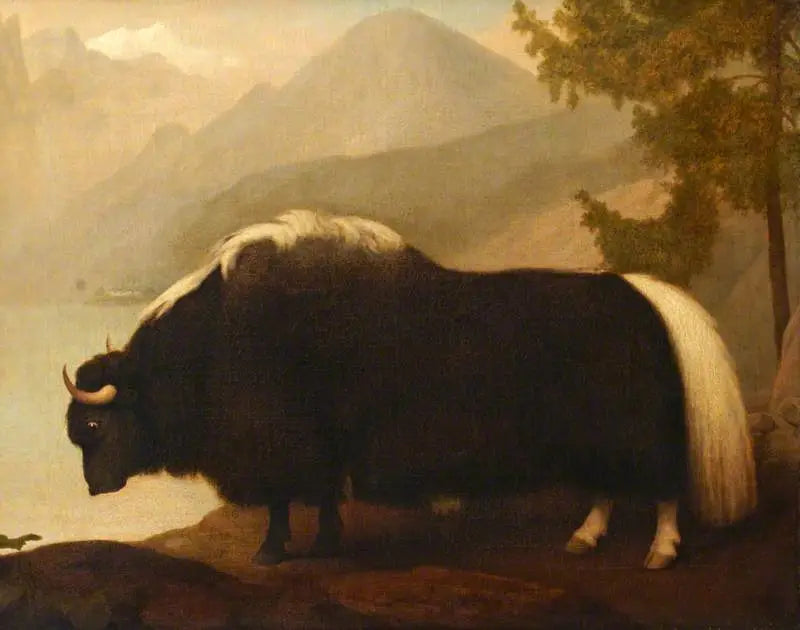 야크 - 조지 스터브스

Source:
Yak - George Stubbs