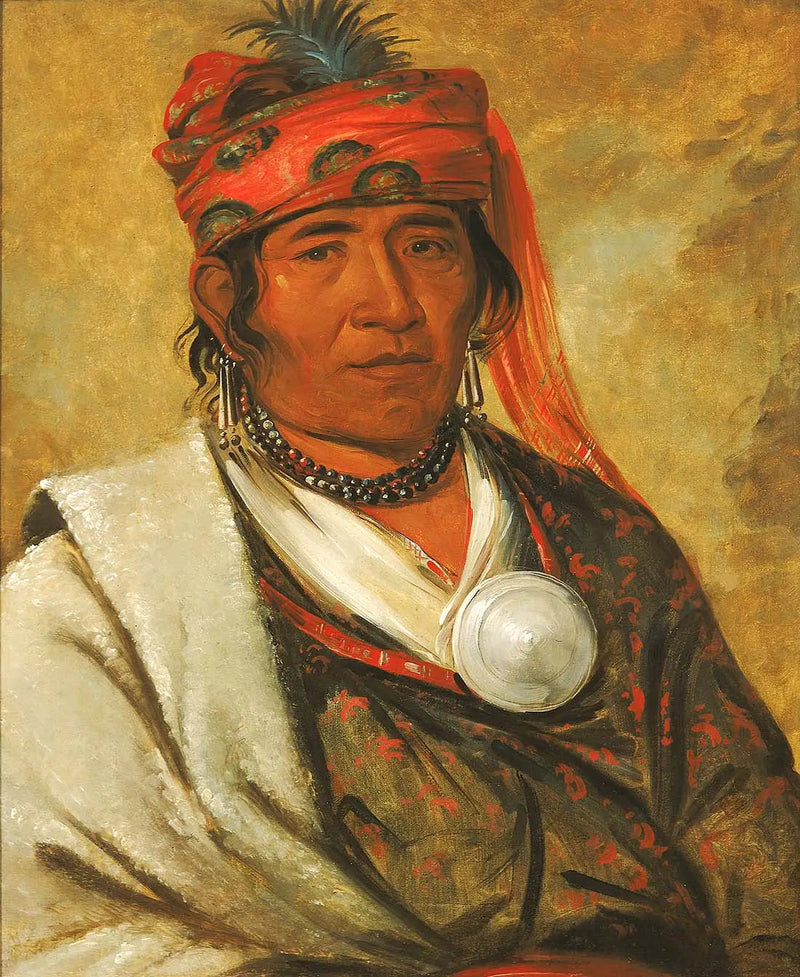 예호로지, 르 누아주, 앙 셰프 - 조지 캐틀린

Source:
Ye-hów-lo-gee, Le Nuage, un Chef - George Catlin